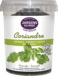 Coriandre en puree 450 g