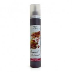 Creme de vinaigre a la chataigne 320 g sens gourmet