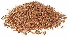 Cumin en grains 1 kg saisse