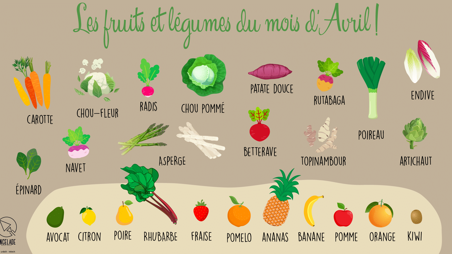 Les Légumes Du Mois D'avril