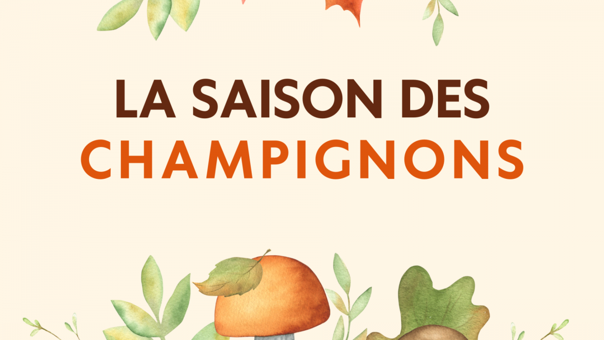 La saison des champignons